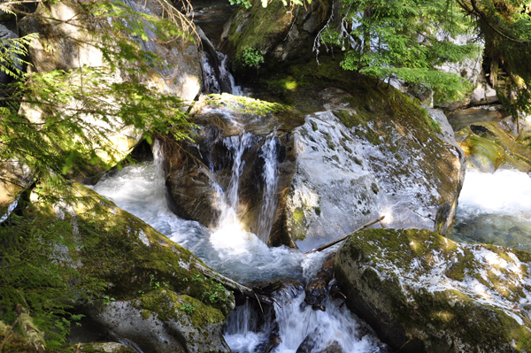 lower part of Ladder Creek Falls